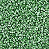 8/0 Glass Seed Beads SEED-S006-34-3