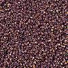 MIYUKI Delica Beads SEED-JP0008-DB1013-3