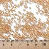 TOHO 11/0 Round Beads X-SEED-TR11-0923-4