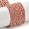 Natural Argentina Rhodonite Beads Strands G-B107-A04-01-2