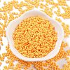Baking Paint Glass Seed Beads SEED-A033-04K-2