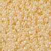 TOHO 8/0 Round Beads X-SEED-TR08-0901-2