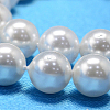 Round Shell Pearl Bead Strands BSHE-L011-10mm-A013-3