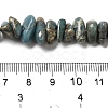 Natural Serpentine Beads Strands G-F771-C01-02-5