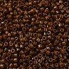 MIYUKI Delica Beads X-SEED-J020-DB2142-3