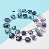 Natural Fluorite Beads Strands G-Z040-A01-01-2