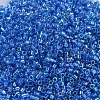 MIYUKI Delica Beads Small X-SEED-J020-DBS0177-3