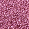 MIYUKI Round Rocailles Beads SEED-G007-RR0556-3