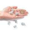 Rough Raw Natural Celestite/Celestine Beads G-C231-07-4