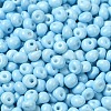 6/0 Opaque Baking Paint Glass Seed Beads SEED-M012-02A-13-3