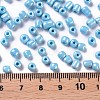 6/0 Glass Seed Beads X1-SEED-A012-4mm-123-3