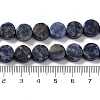 Natural Sodalite Beads Strands G-C159-B10-01-4