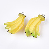 Resin Pendants X-RESI-T028-46-2