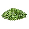 Natural & Dyed Peridot Tumbled Chips PW-WGA7DCE-05-1