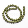 Fossil Beads G-SR6MM-FS27-3
