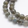 Natural Labradorite Beads Strands G-P322-31-8mm-3