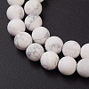 Natural Howlite Beads Strands G-G770-06-3