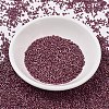 MIYUKI Delica Beads SEED-X0054-DB2308-2
