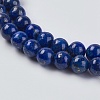 Natural Lapis Lazuli Beads Strands X-G-G423-6mm-A-3