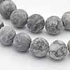 Natural Map Stone/Polychrome Jasper/Picasso Stone/Picasso Jasper Beads Strands G-D657-4mm-1