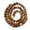Natural Picture Jasper Beads Strands G-K376-F10-01-3