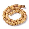 Natural Freshwater Shell Beads Strands X-BSHE-I016-04B-2