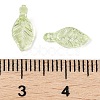 Transparent Acrylic Charms TACR-F009-11B-3