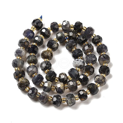 Natural Iolite Beads Strands G-P508-A12-01-1