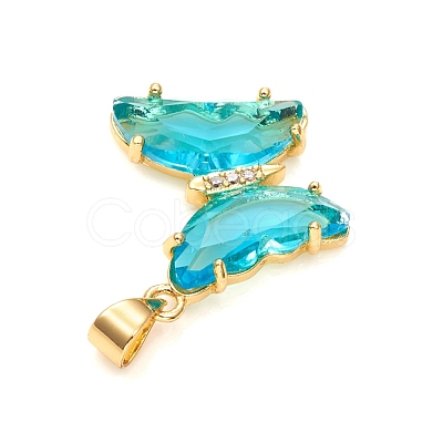 Glass Pendants X-GLAA-G075-01G-07-1