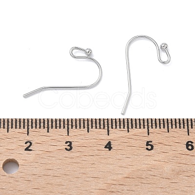 SHEGRACE Brass Earring Hooks XGR0138P-154P-1