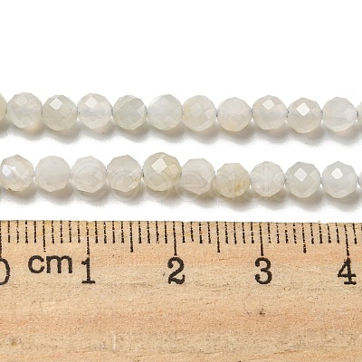 Natural Moonstone Beads Strands G-F736-01-AB-1