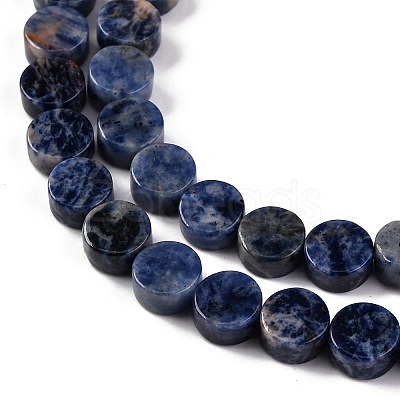 Natural Sodalite Beads Strands G-C159-B10-01-1