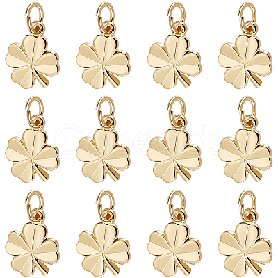 20Pcs Brass Charms KK-BBC0025-08-1