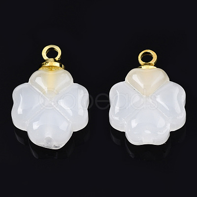 Glass Charms GLAA-N036-02B-1