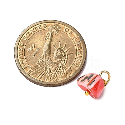 Dyed Natural Trochid Shell/Trochus Shell Pendants PALLOY-JF04484-01-1