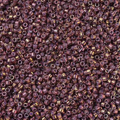 MIYUKI Delica Beads SEED-JP0008-DB1013-1