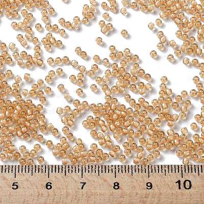 TOHO 11/0 Round Beads X-SEED-TR11-0923-1