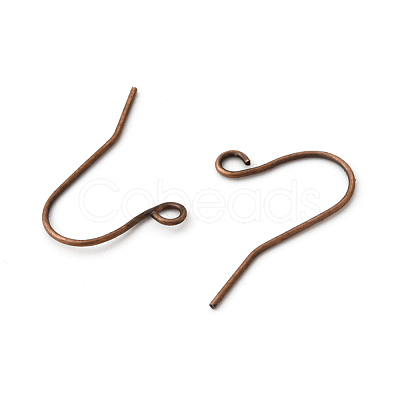 Iron Earring Hooks IFIN-T001-04R-NF-1