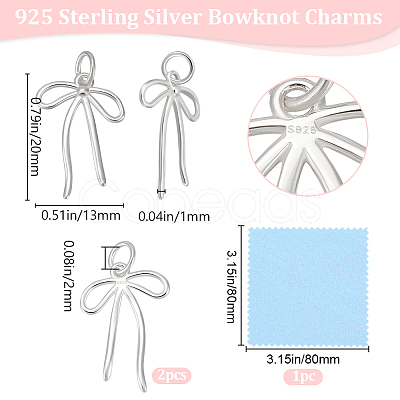 2Pcs 925 Sterling Silver Pendants STER-BBC0007-88-1