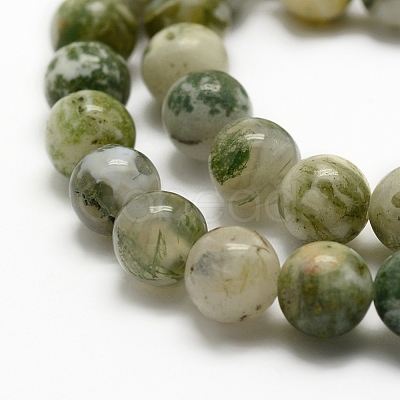 Natural Tree Agate Beads Strands G-G735-02-6mm-1