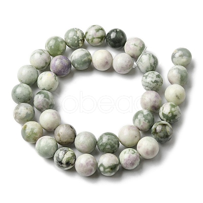 Natural Peace Jade Beads Strands G-E598-04A-1