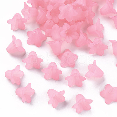 Transparent Acrylic Beads PLF018-02-1