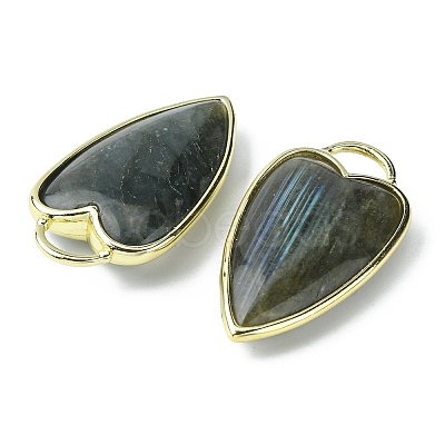 Natural Labradorite Pendants G-O204-02F-1