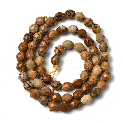Natural Picture Jasper Beads Strands G-K376-F10-01-1