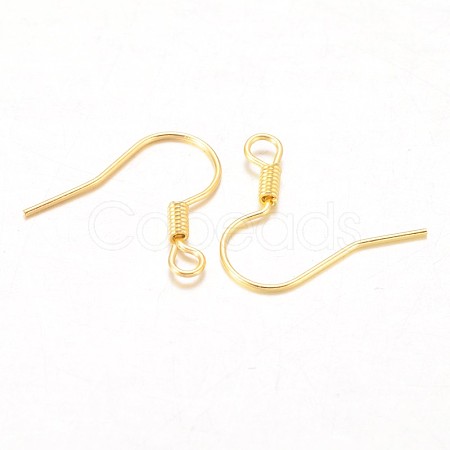 Iron Earring Hooks X-E133-G-1