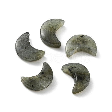 Natural Labradorite Beads G-NH0001-01D-1