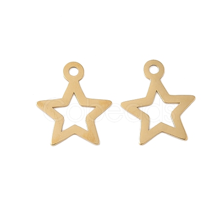 304 Stainless Steel Charms STAS-K306-06B-G-1
