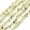 Prehnite Chip Bead Strands, 5~8x5~8mm, Hole: 1mm, about 31.5 inch