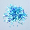 Plastic Candy Sequins/Paillette Chip DIY-I019-02D-2