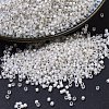 MIYUKI Delica Beads X-SEED-J020-DB0221-1
